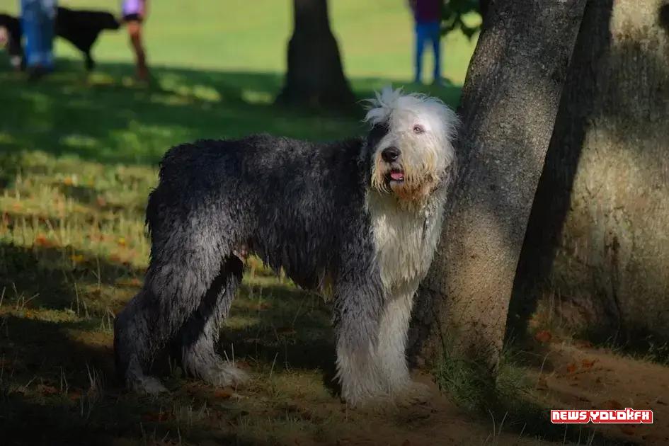 Future Predictions and Trends