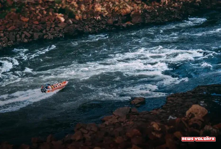 Healthcare: A Sector Always in Demand Healthcare: A Sector Always in Demand