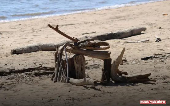 How to Get a Business Credit Card? Top Tips and Guidelines