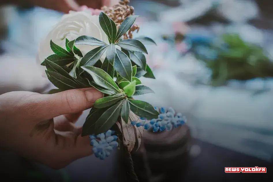 Implement Accounting Software Implement Accounting Software