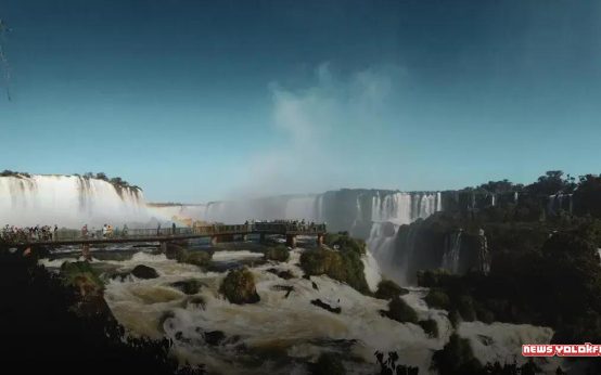 Professions of the Future: Discover the Main Ones and High-Demand Areas