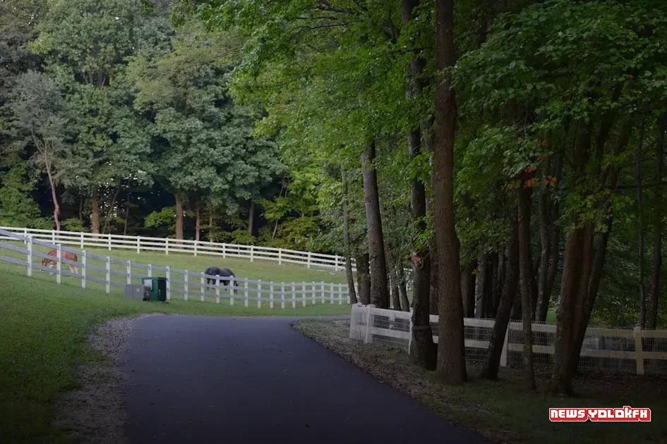 Requirements and Eligibility Requirements and Eligibility