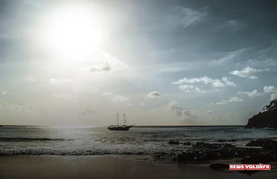 Soft Skills: The Secret Weapon for Future Professions Soft Skills: The Secret Weapon for Future Professions