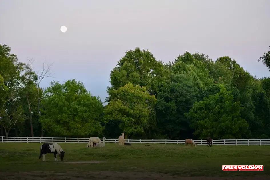 Tips for Using a Business Credit Card Wisely Tips for Using a Business Credit Card Wisely